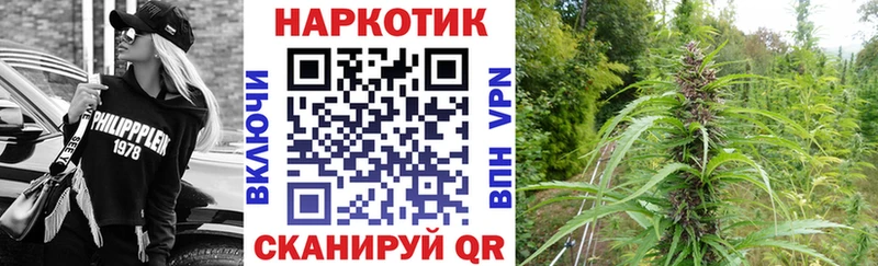 Купить закладку Псилоцибиновые грибы  Мефедрон  ГАШ  Лосино-Петровский