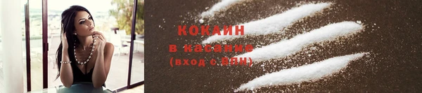 стафф Иннополис