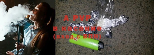 стафф Иннополис