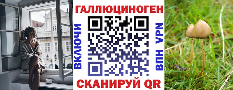 Купить закладки  Лосино-Петровский  Псилоцибиновые грибы мицелий 