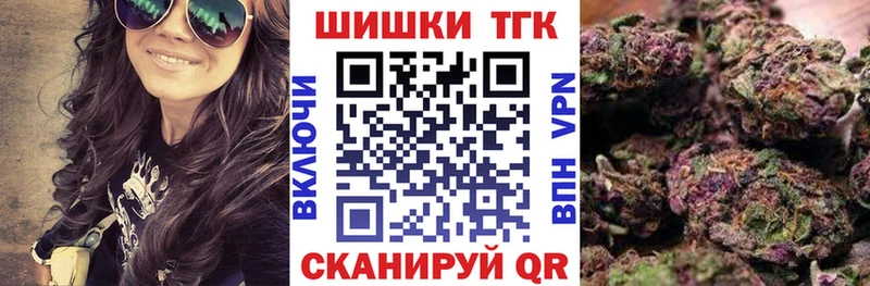 Купить закладки  Лосино-Петровский  Каннабис сатива 